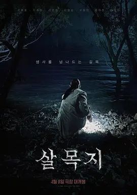 络绎不绝公共女厕，大神4K画质连续偸拍，全方位脸逼同框记录，超多小姐姐大小便 (1) - 吸草莓大亨海报